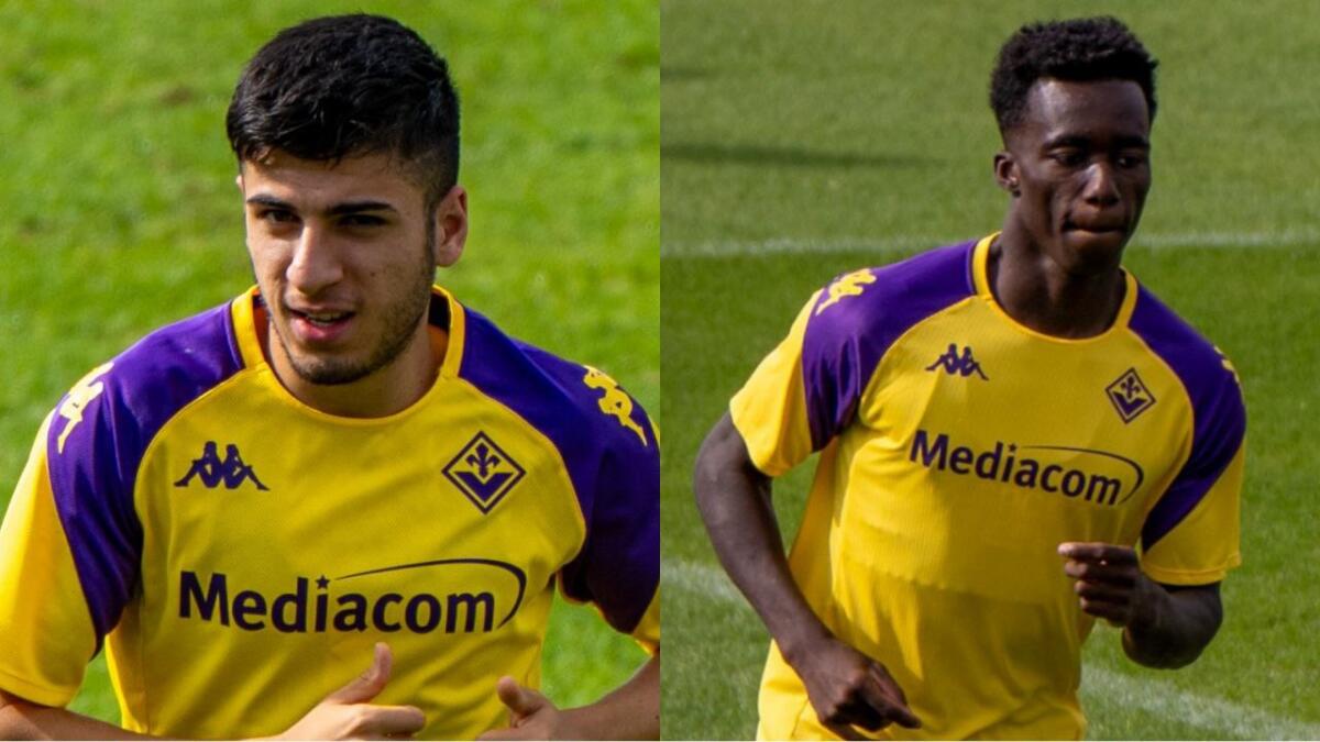 Bucchioni: "Parisi e Kayode sono più difensori rispetto a Biraghi e Dodò. Più veloci a tappare buchi in difesa" - 