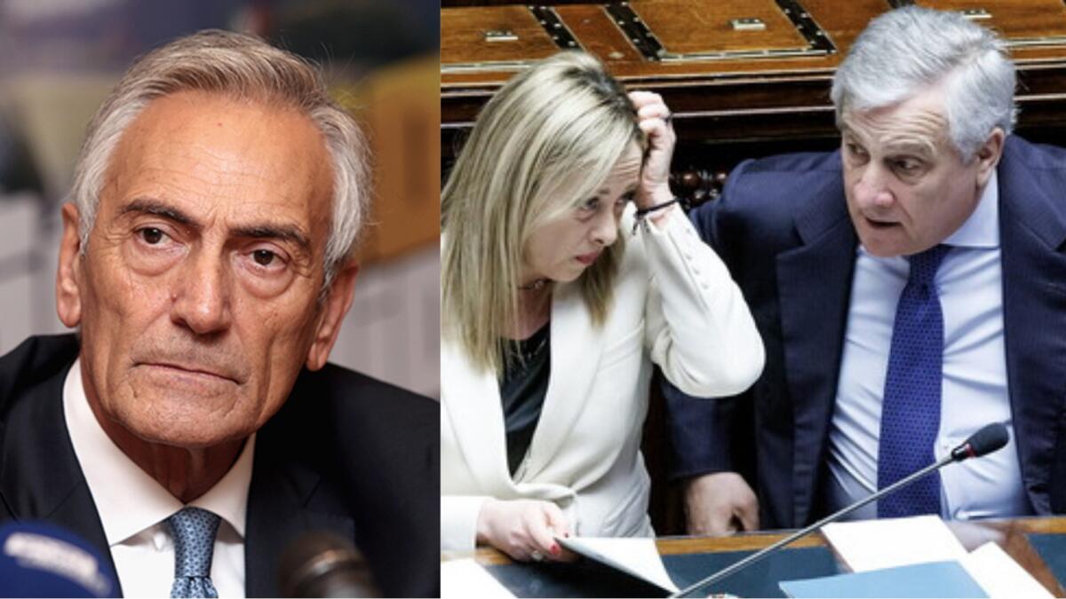 Gravina fa un favore al centro destra, assume in Federazione il figlio di Tajani e la figlia di Giorgetti - 