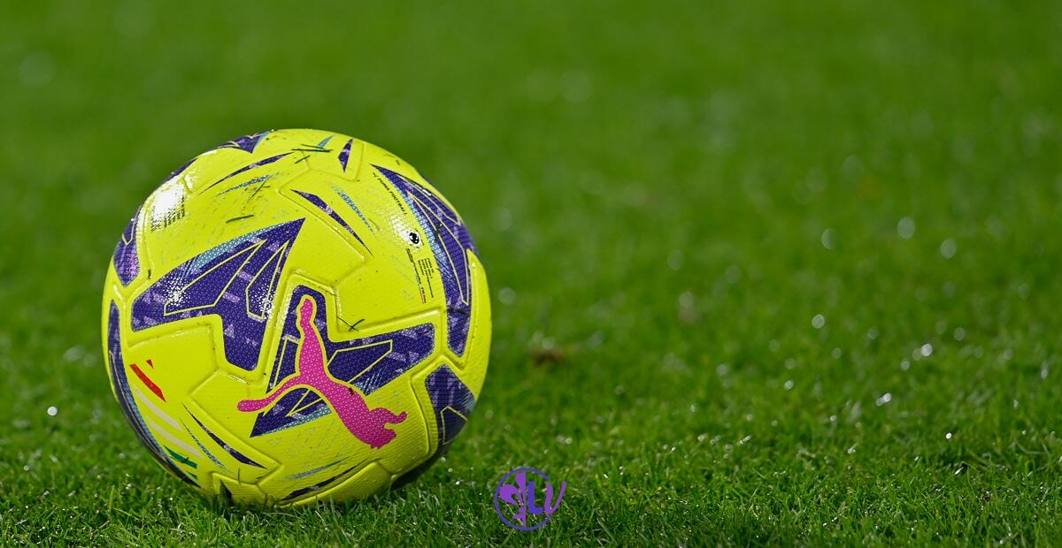 La storia del gioco d’azzardo online - Firenze, stadio A.Franchi, 21.01.2023, Fiorentina-Torino, foto Lisa Guglielmi. Copyright Labaroviola.com