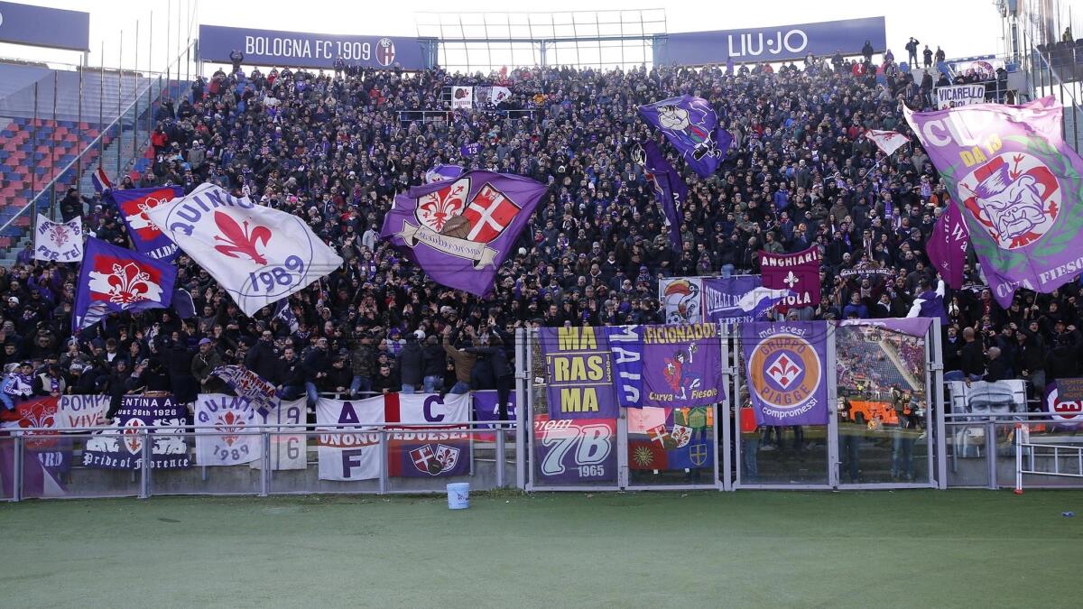 Bologna-Fiorentina, duello da Champions stasera al Dall'Ara come un vecchio film western - 