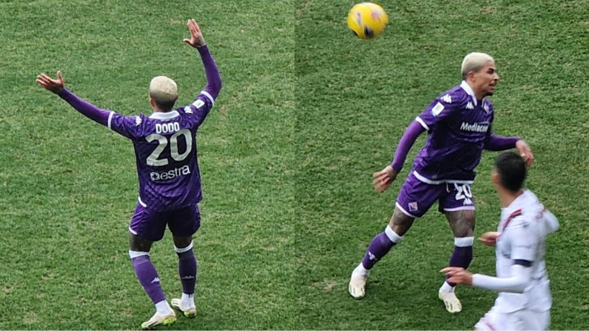 60 minuti di Dodò con la primavera: ha evitato i contrasti, voglia di giocare e qualche incursione - 