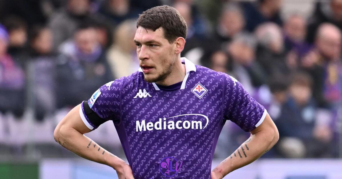 La Gazzetta dello Sport afferma: "Belotti destinato a non essere riscattato dalla Fiorentina a fine stagione" - Firenze, Stadio Artemio Franchi, 11.02.2024, Fiorentina-Frosinone, foto Lisa Guglielmi. Copyright Labaroviola.com