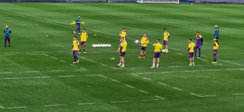 Fiorentina al completo alla rifinitura in vista del Club Brugge, recuperati sia Nzola che Mandragora
