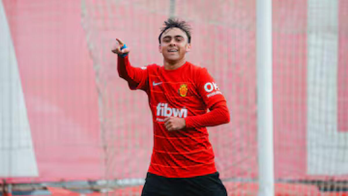 Dall'Argentina riportano: "La Fiorentina si unisce alla lista di squadre che vogliono il 2006 Alex Woiski" - 