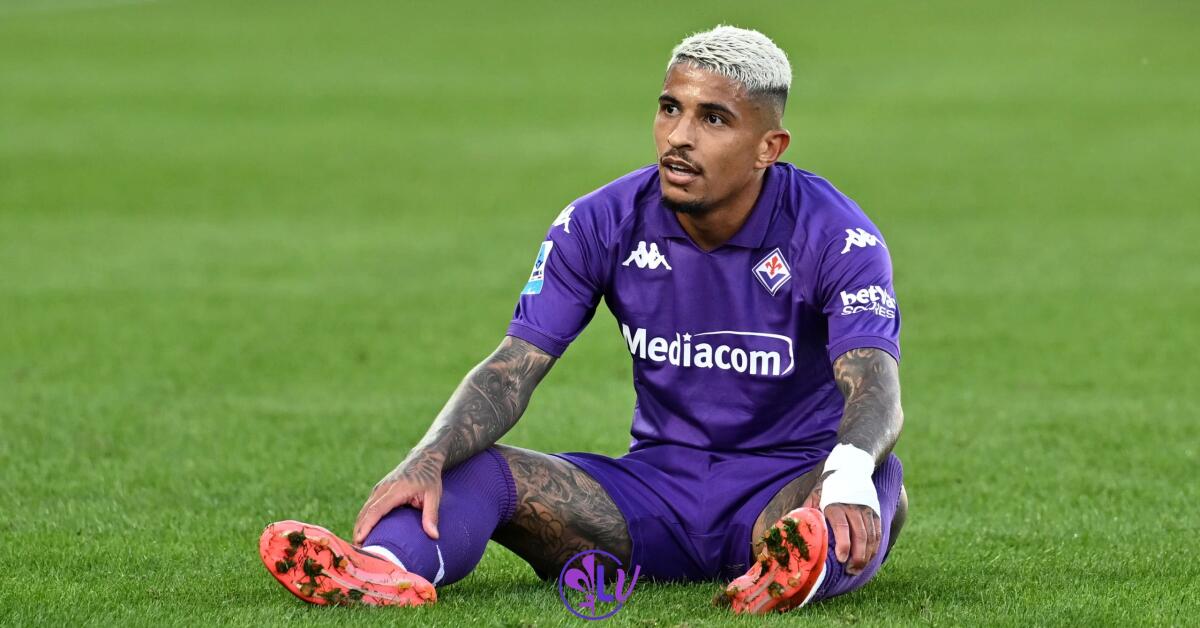 Giudice Sportivo: "Stop a Dodo e multa di 10mila euro alla Fiorentina per lancio di un petardo, bengala e seggiolino" - Firenze, Stadio Artemio Franchi, 10.11.2024, Fiorentina-Verona, foto Lisa Guglielmi. Copyright Labaroviola.com