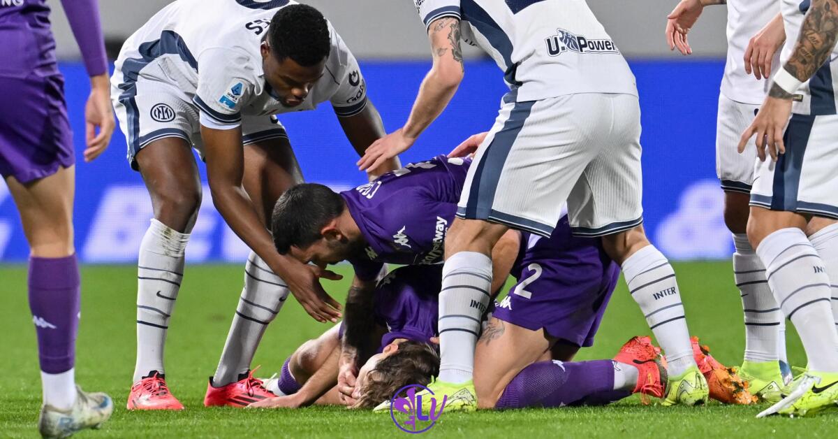 Scugnizzo Viola: "Firenze, il calcio e l’umanità al Franchi. Grazie Danilo Cataldi" - 