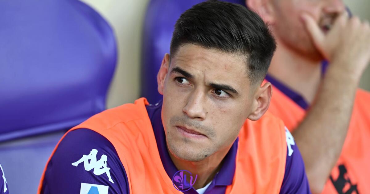 Alla fine dell'allenamento, la squadra abbraccia Quarta, è il suo addio alla Fiorentina - Firenze, Stadio Artemio Franchi, 25.08.2024, Fiorentina-Venezia, foto Lisa Guglielmi. Copyright Labaroviola.com