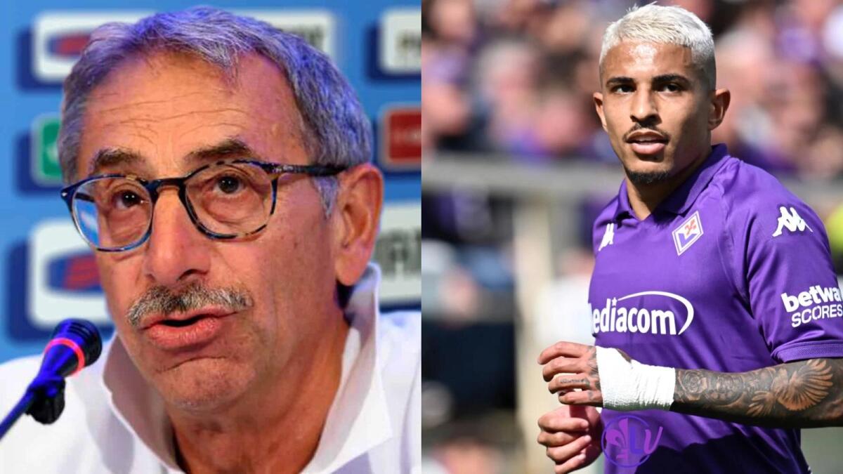 Castellacci su Dodò: "Spero si tratti di appendicite semplice. Potrebbe servire un mese per recuperare" - 