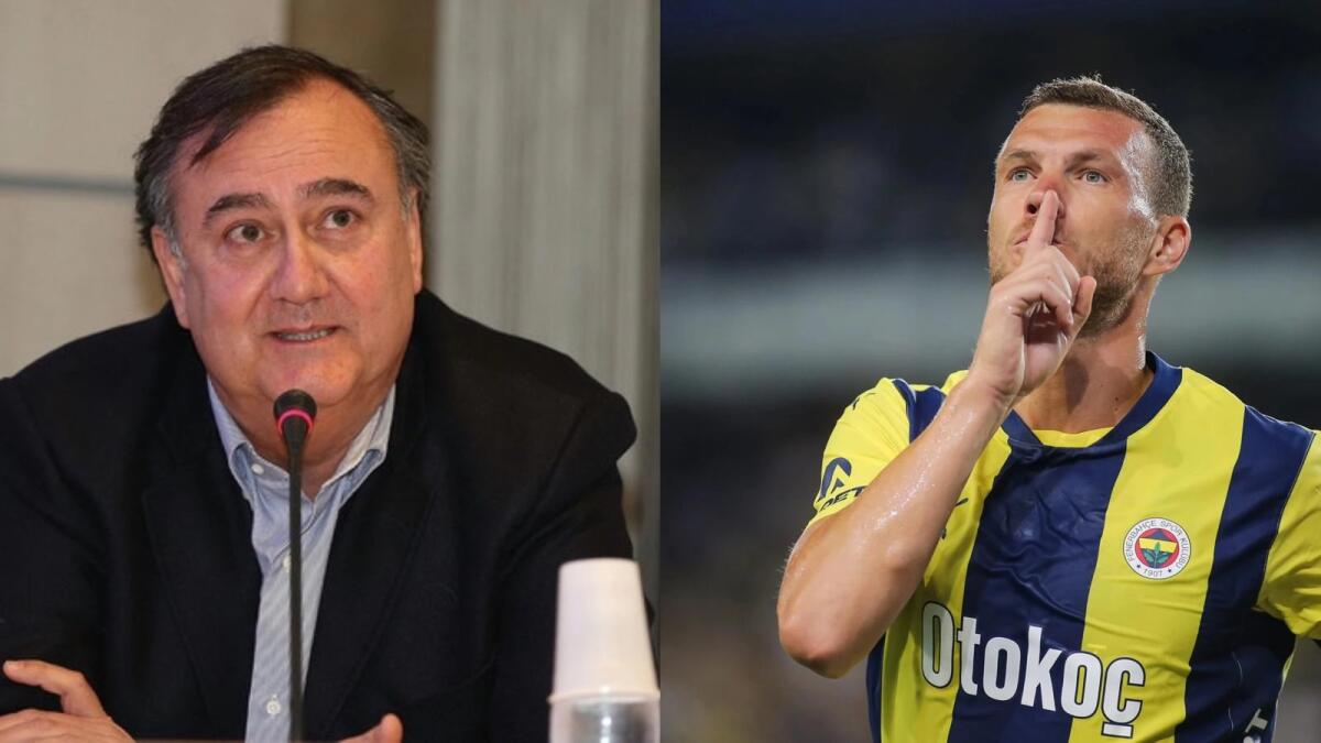 Polverosi su Dzeko: "Se chiameranno la Serie A il cimitero degli elefanti, pazienza. Sarà un maestro" - 