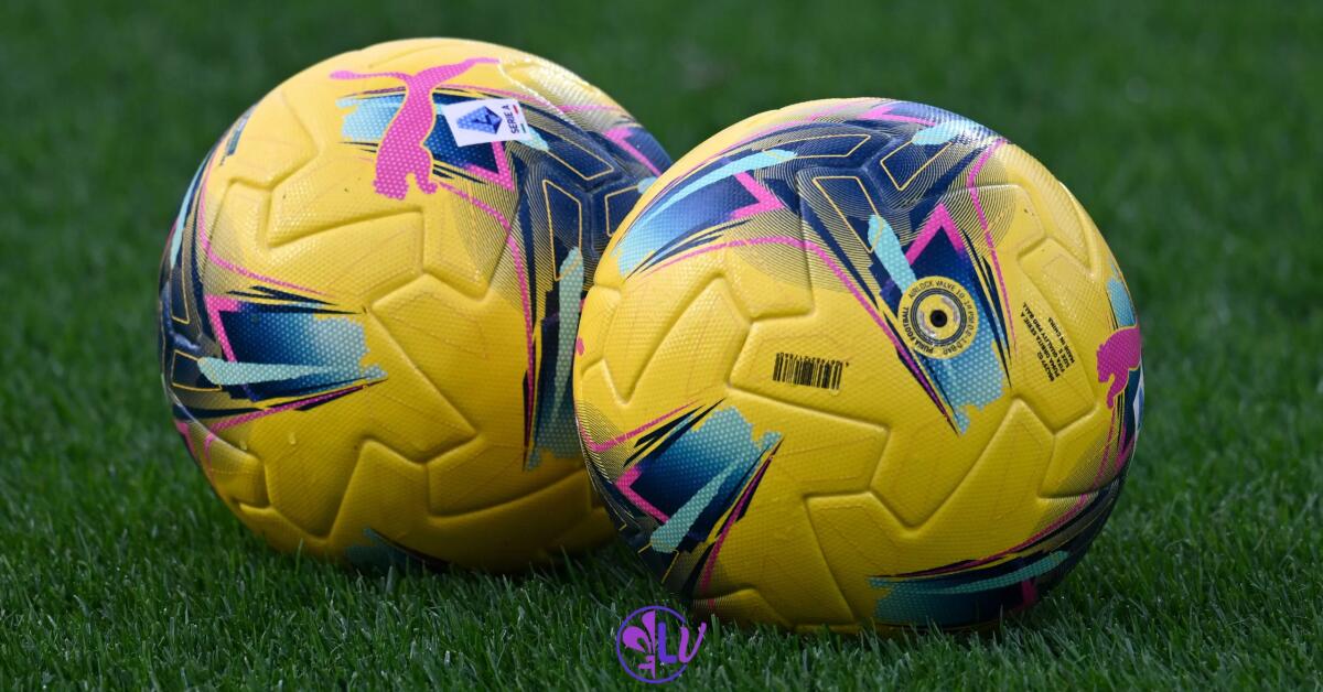 Dalla prossima stagione le partite rinviate verranno recuperate il giorno dopo. La decisione della Lega - Firenze, Stadio Artemio Franchi, 19.01.2025, Fiorentina-Torino, foto Lisa Guglielmi. Copyright Labaroviola.com