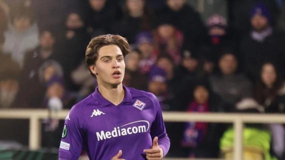 Harder al Padova, ma prima rinnova con la Fiorentina. Contratto fino al 2029 e opzione per altre 3 stagioni - 