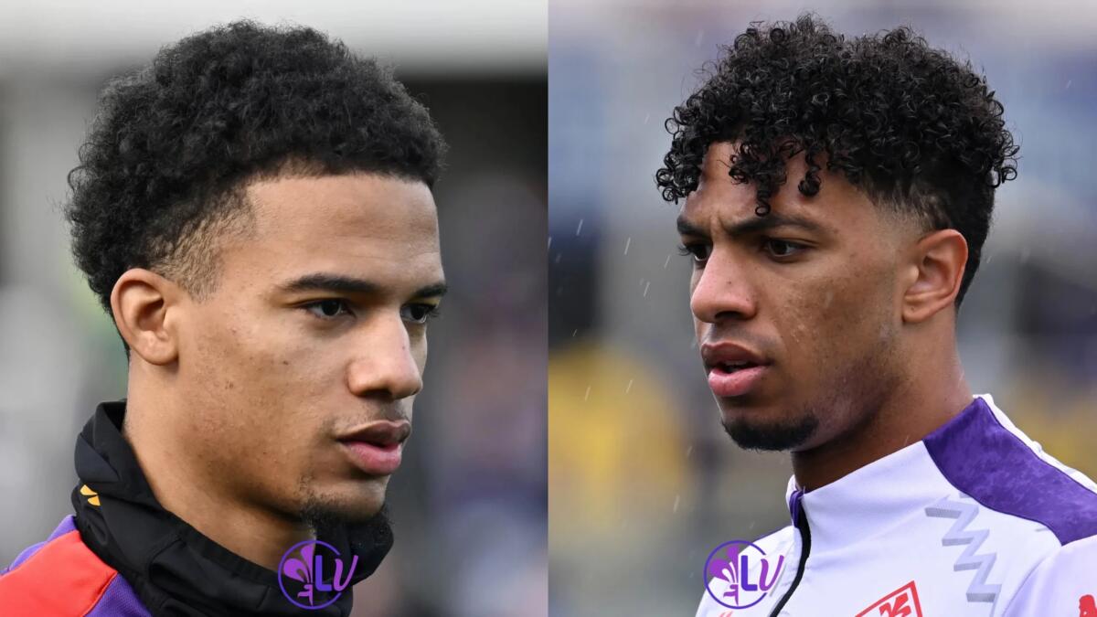 TMW: "La Fiorentina andrà su un centrocampista, 2 se Pioli boccia Richardson o Ndour" - 