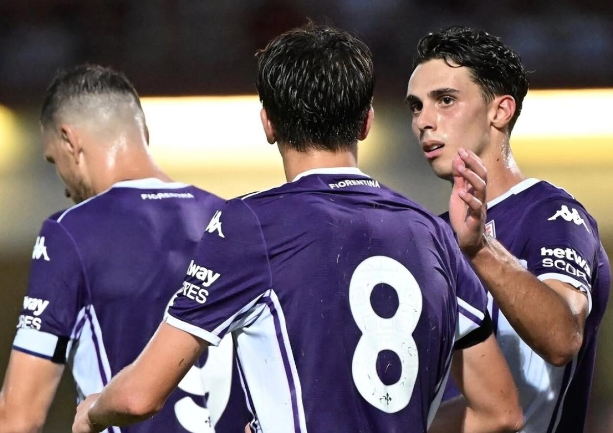 TOP E FLOP FIORENTINA: DZEKO FA ASSIST E REGIA OFFENSIVA. SOTTIL NERVOSO, LITIGI E POCO ALTRO - Foto ACF Fiorentina