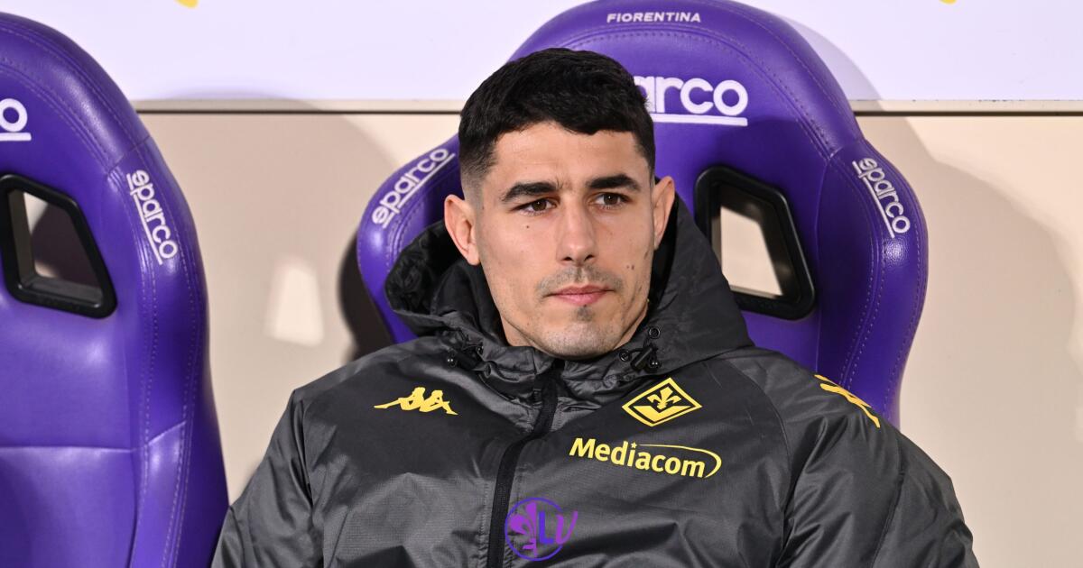 Faraoni dimentica la Fiorentina: "Non ho mai fatto un salto di qualità rispetto al Verona" - Firenze, Stadio Artemio Franchi, 14.01.2024, Fiorentina-Udinese, foto Lisa Guglielmi. Copyright Labaroviola.com