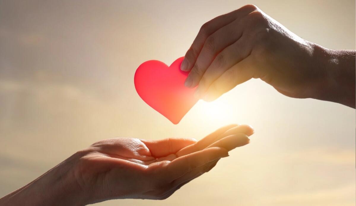 Donazione in memoria: come trasformare il ricordo in un gesto di speranza - 