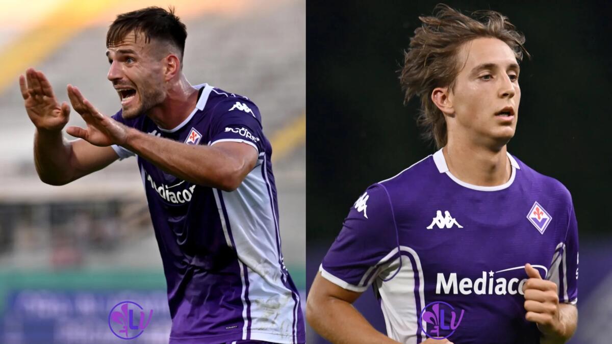 D’Aversa: “Pongracic e Fazzini li consigliai a contendenti per lo Scudetto, Sohm e Piccoli completi” - 