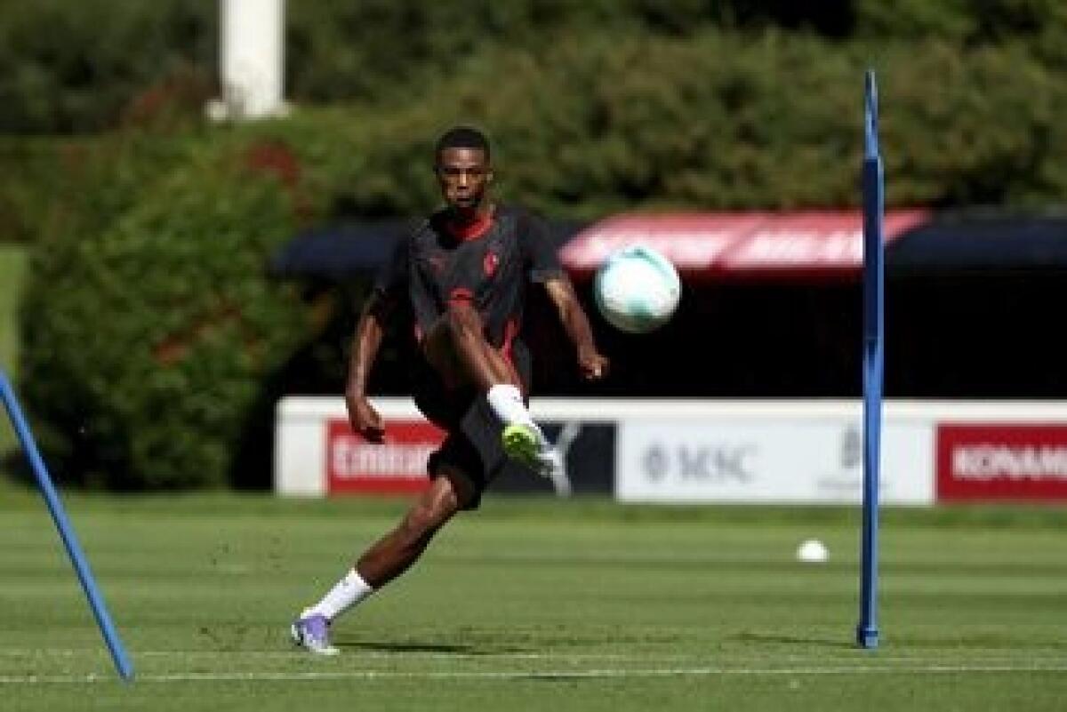 Da Milano rilanciano: "Data l'emergenza, Allegri potrebbe schierare Balentien 2008 del Milan Futuro" - 