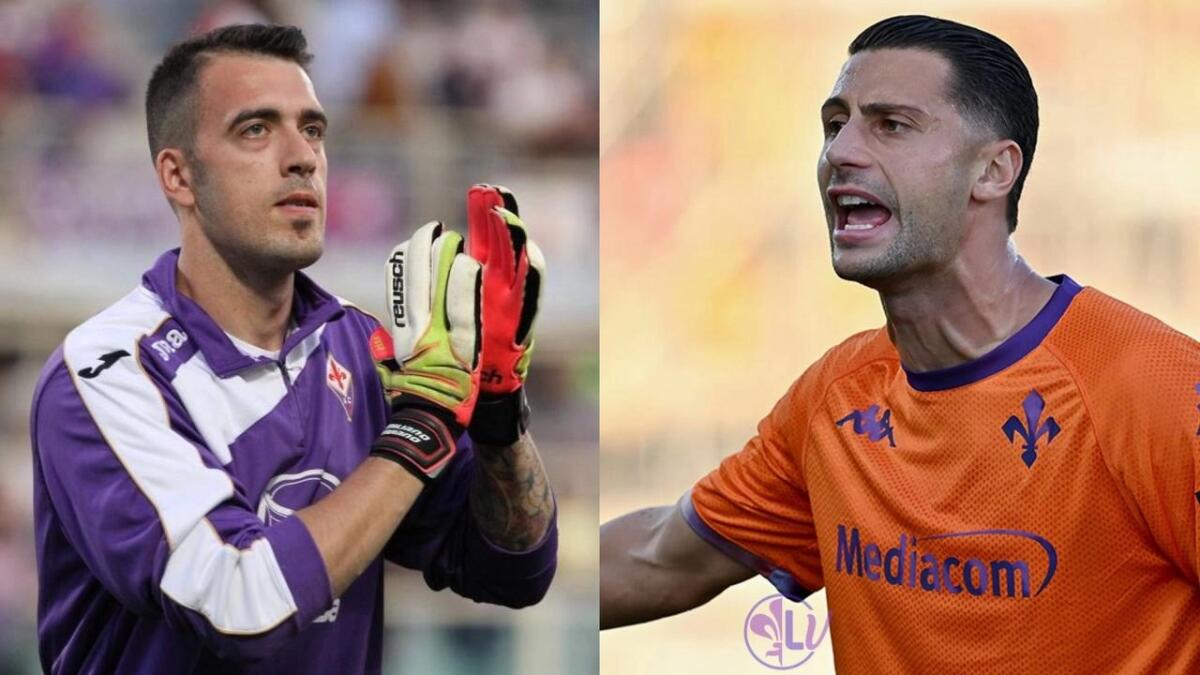 Viviano: "Mandragora mi sembra sia l'unico che si sia reso conto della situazione con il povero Fortini" - 