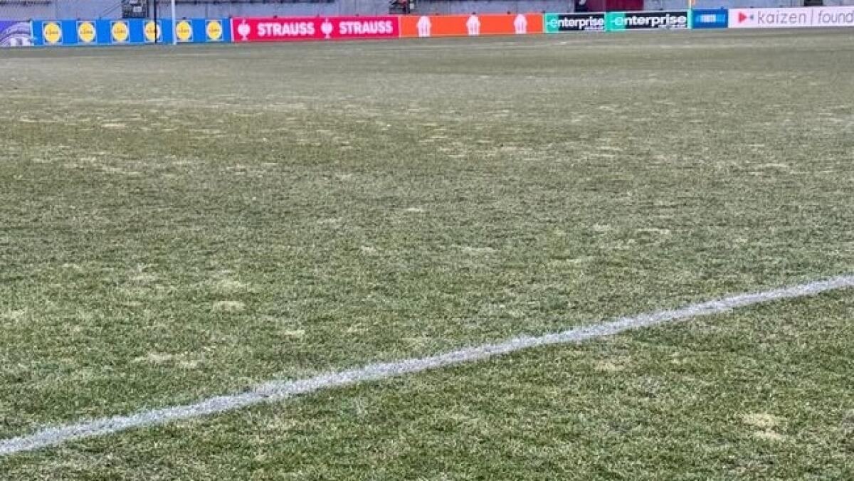 "Fiorentina, l'insidia sarà il campo, è secco e duro e pieno di buche. Un campo di patate" - 
