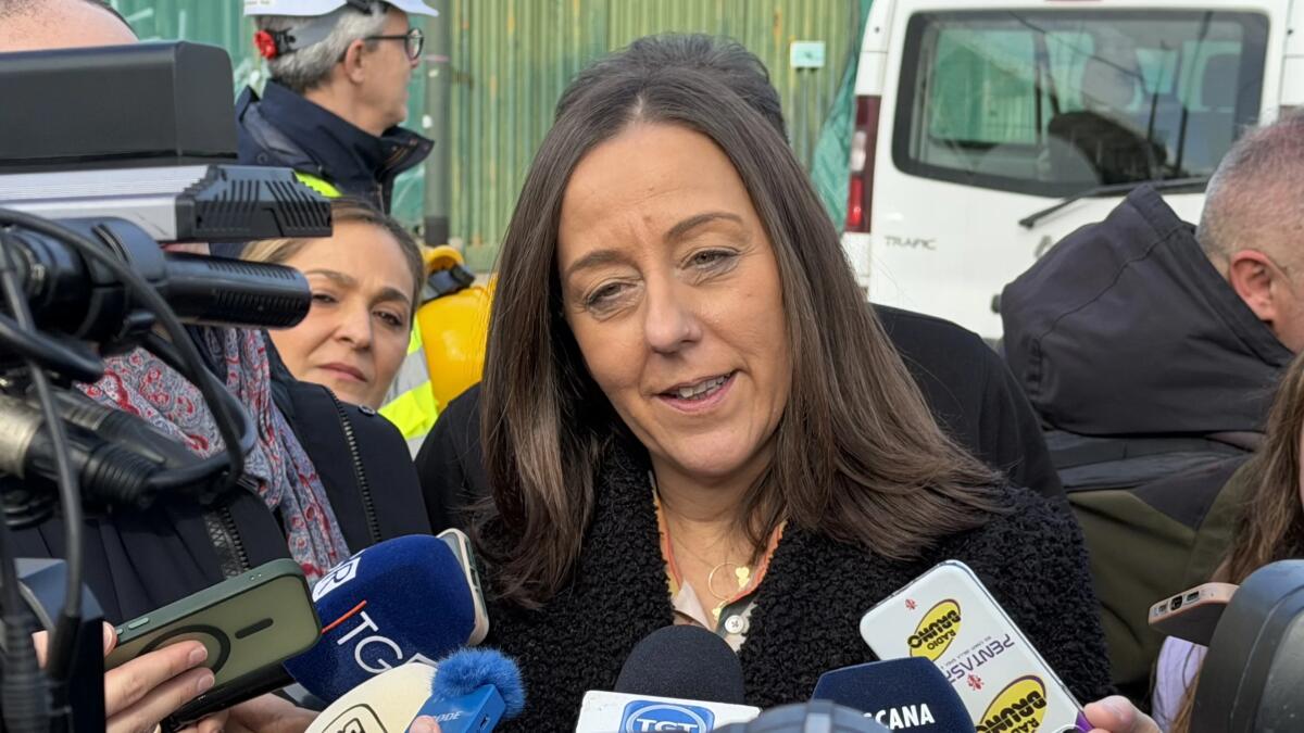 Franchi ed Euro 2032, Funaro: “Lavori nei tempi, avanti spediti verso la fine del cantiere” - 