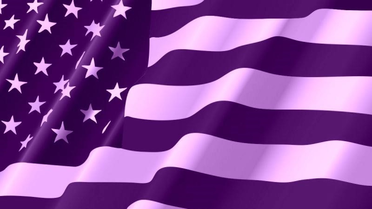 Patatine, burger e bandiere americane: Viola Park a stelle e strisce, si tifa USA al maxischermo - 